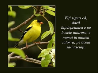 Fiţi siguri că, dacă înţelepciunea e pe buzele tuturora, e numai în mintea câtorva; pe aceia să-i asculţi. 