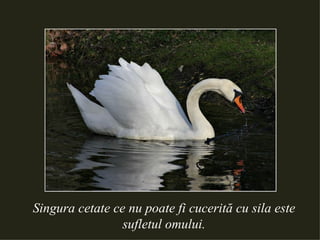 Singura cetate ce nu poate fi cucerită cu sila este sufletul omului. 