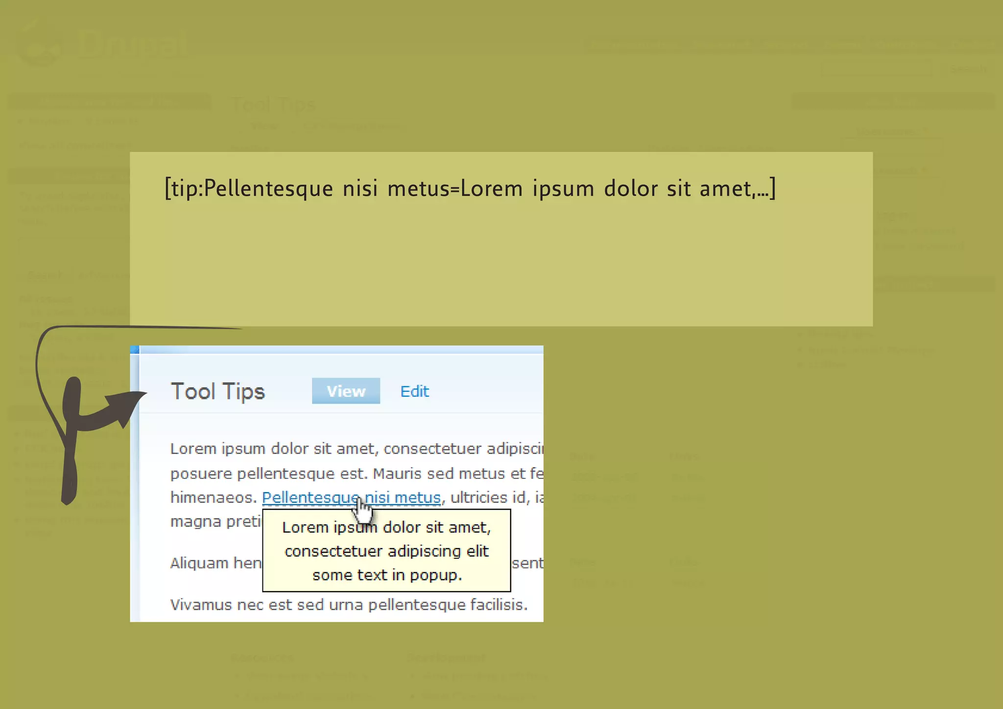 [tip:Pellentesque nisi metus=Lorem ipsum dolor sit amet,…]
 