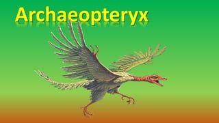 Archaeopteryx
 