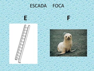 ESCADA FOCA
E F
 