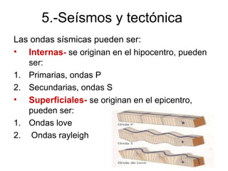 5.-Seísmos y tectónica
Las ondas sísmicas pueden ser:
• Internas- se originan en el hipocentro, pueden
   ser:
1. Primarias, ondas P
2. Secundarias, ondas S
• Superficiales- se originan en el epicentro,
   pueden ser:
1. Ondas love
2. Ondas rayleigh
 