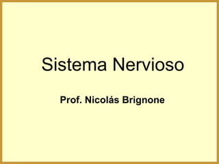 Sistema Nervioso
  Prof. Nicolás Brignone
 