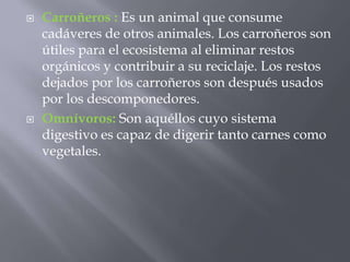 Carroñeros :Es un animal que consume cadáveres de otros animales. Los carroñeros son útiles para el ecosistema al eliminar restos orgánicos y contribuir a su reciclaje. Los restos dejados por los carroñeros son después usados por los descomponedores.Omnívoros:Son aquéllos cuyo sistema digestivo es capaz de digerir tanto carnes como vegetales.
