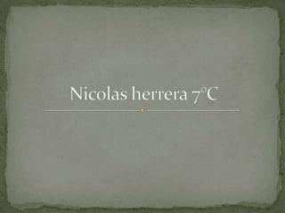 Nicolas herrera 7°c