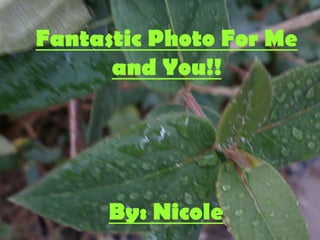 Fantastic Photo For Me
      and You!!




      By: Nicole
 