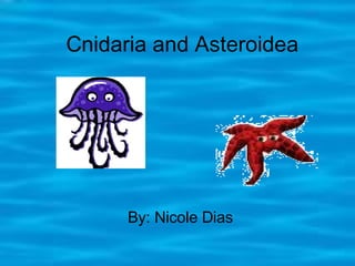 By: Nicole Dias Cnidaria and Asteroidea 