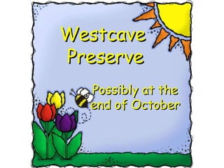 Westcave  Preserve Possibly at the  end of October 