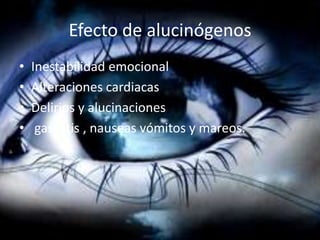 Efecto de alucinógenos
•
•
•
•

Inestabilidad emocional
Alteraciones cardiacas
Delirios y alucinaciones
gastritis , nauseas vómitos y mareos.

 