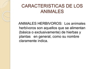CARACTERISTICAS DE LOS
ANIMALES
ANIMALES HERBIVOROS: Los animales
herbívoros son aquellos que se alimentan
(básica o exclusivamente) de hierbas y
plantas en general, como su nombre
claramente indica.
 