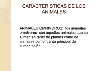 CARACTERISTICAS DE LOS
ANIMALES
ANIMALES OMNIVOROS: los animales
omnívoros son aquellos animales que se
alimentan tanto de plantas como de
animales como fuente principal de
alimentación.
 