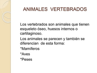 ANIMALES VERTEBRADOS
Los vertebrados son animales que tienen
esqueleto óseo, huesos internos o
cartilaginoso.
Los animales se parecen y también se
diferencian de esta forma:
*Mamíferos
*Aves
*Peses
 