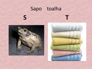 Sapo toalha
S T
 