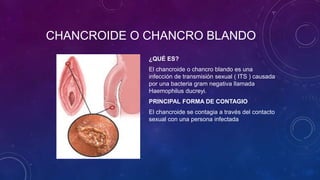 Nicolás Ayala Piedrahita-Chancro-805.pptx