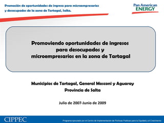 Municipios de Tartagal, General Mosconi y Aguaray Provincia de Salta Julio de 2007-Junio de 2009 Promoviendo oportunidades de ingresos  para desocupados y  microempresarios en la zona de Tartagal 