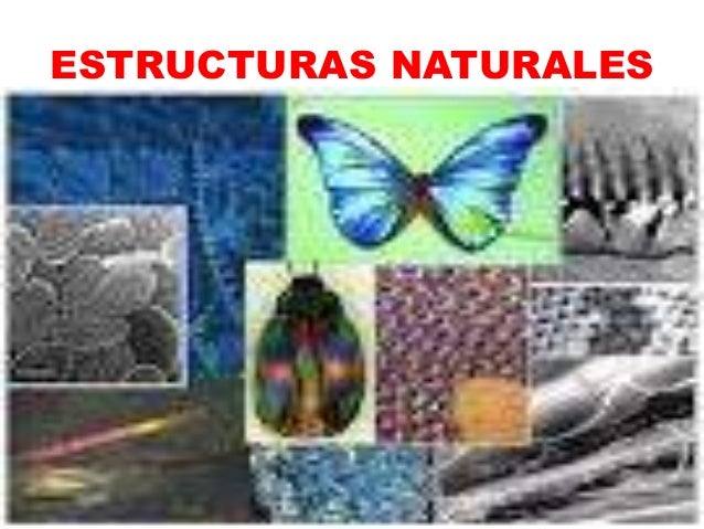Imagenes De Estructuras Naturales Estructuras | estructuras naturales y artificiales Imagenes De Estructuras Naturales Estructuras | estructuras naturales y artificiales