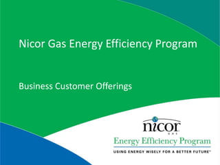 Nicor Gas Energy Efficiency Program Business Customer Offerings 