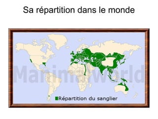 Sa répartition dans le monde
 