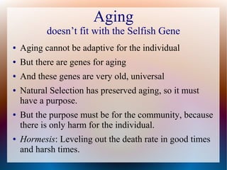 Aging
doesn’t fit with the Selfish Gene
● Aging cannot be adaptive for the individual
● But there are genes for aging
● And these genes are very old, universal
● Natural Selection has preserved aging, so it must
have a purpose.
● But the purpose must be for the community, because
there is only harm for the individual.
● Hormesis: Leveling out the death rate in good times
and harsh times.
 