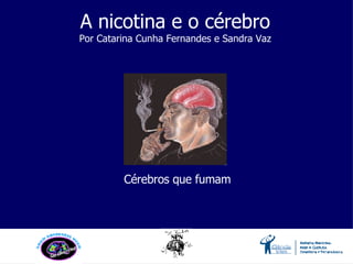 Cérebros que fumam A nicotina e o cérebro Por Catarina Cunha Fernandes e Sandra Vaz 