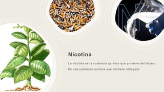 nicotina.pptx