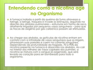 Entendendo como a nicotina age
no Organismo
 A fumaça inalada a partir da queima do fumo atravessa a
faringe, a laringe, traqueia e invade os brônquios, seguindo na
direção dos alvéolos pulmonares – estruturas em forma de saco,
altamente irrigadas por pequenos vasos sanguíneos – para que
as trocas de oxigênio por gás carbônico possam ser efetuadas.
 Ao chegar aos alvéolos, as gotículas de nicotina entram em
contato com a infinidade de vasos sanguíneos que os irrigam,
atravessam suas paredes e caem na corrente sanguínea.
Dependendo da profundidade da tragada, 70 a 90% da
nicotina presente na fumaça é absorvida nos alvéolos. Ao cair
no interior dos milhares de vasos capilares dos pulmões, a
nicotina se mistura com o sangue já oxigenado, que será
levado ao coração para ser bombeado para todo o
organismo.
 