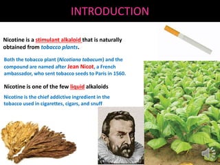 can you get tobacco delivered in texas TOP 10 BEST Cigarette Delivery in Round Rock, TX - Updated 2026