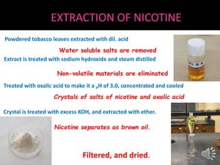 can you put tobacco in a blunt The origins of blunts- Alchimia Grow Shop can you put tobacco in a blunt The origins of blunts- Alchimia Grow Shop