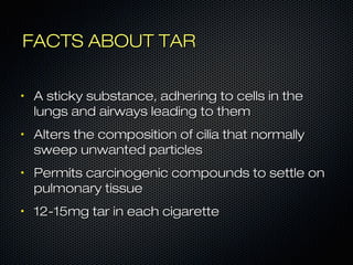 FFAACCTTSS AABBOOUUTT TTAARR 
• AA ssttiicckkyy ssuubbssttaannccee,, aaddhheerriinngg ttoo cceellllss iinn tthhee 
lluunnggss aanndd aaiirrwwaayyss lleeaaddiinngg ttoo tthheemm 
• AAlltteerrss tthhee ccoommppoossiittiioonn ooff cciilliiaa tthhaatt nnoorrmmaallllyy 
sswweeeepp uunnwwaanntteedd ppaarrttiicclleess 
• PPeerrmmiittss ccaarrcciinnooggeenniicc ccoommppoouunnddss ttoo sseettttllee oonn 
ppuullmmoonnaarryy ttiissssuuee 
• 1122--1155mmgg ttaarr iinn eeaacchh cciiggaarreettttee 
 