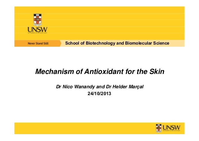 nico-wanandy-unsw-mechanism-of-antioxidant-for-the-skin
