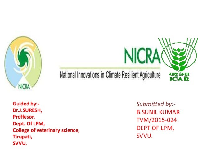 nicra project by dr sunil kumar boya nicra