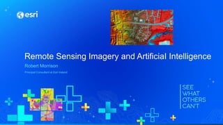 Remote Sensing Imagery and ArtificiaI Intelligence
Robert Morrison
Principal Consultant at Esri Ireland
 