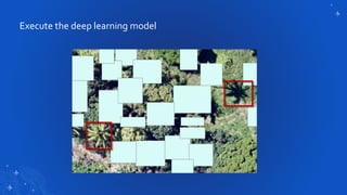 Execute the deep learning model
 