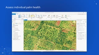 Assess individual palm health
 