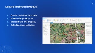 Derived Information Product
1. Create a point for each palm.
2. Buffer each point by 3m.
3. Intersect with TGI imagery.
4. Calculate zonal statistics.
 