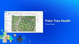 Case Study
Palm Tree Health
 