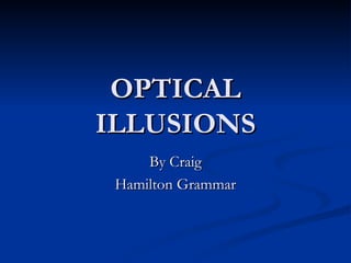OPTICAL ILLUSIONS By Craig Hamilton Grammar 