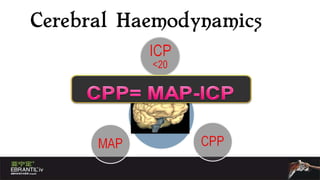 Cerebral Haemodynamics 