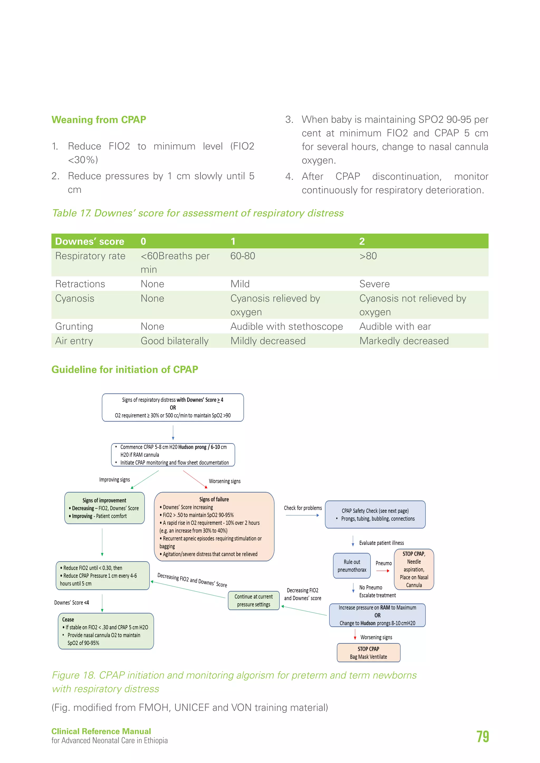 Nicu 2021 Ethiopia | PDF