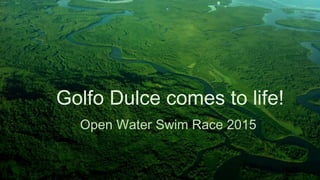 Golfo Dulce comes to life!
Open Water Swim Race 2015
 