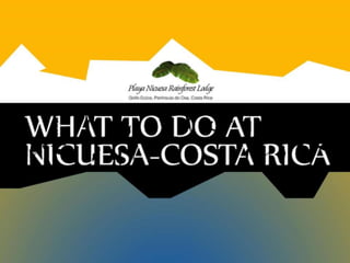 What to do in Playa Nicuesa Lodge