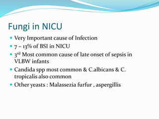 Nicu management | PPT