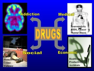 Homelessness
Crime
Violence
Neurotoxicity
AIDS, Cancer
Mental illness
Health care
Productivity
Accidents
 