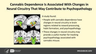 DRUGABUSE.GOV
A study found:
• People with cannabis dependence have
changes in neural circuitry in brain
regions related to reward processing,
habit formation, and psychopathology.
• These changes in neural circuitry may
provide a useful marker for tracking
psychopathology associated with
cannabis misuse.
Cannabis Dependence Is Associated With Changes in
Neural Circuitry That May Contribute to Psychopathology
 