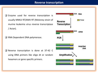 Mmlv NIDA FATIMA REAL TIME PCR PPT.pptx