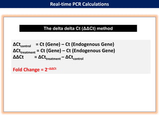 NIDA FATIMA REAL TIME PCR PPT.pptx