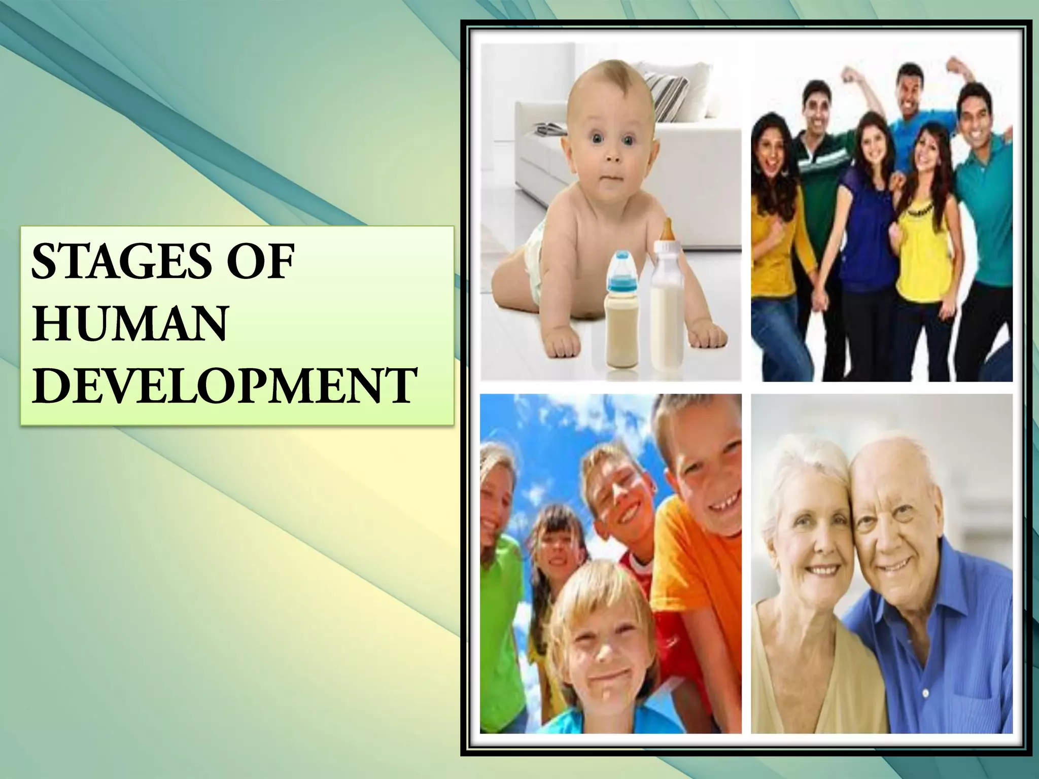 stages of human development PDF