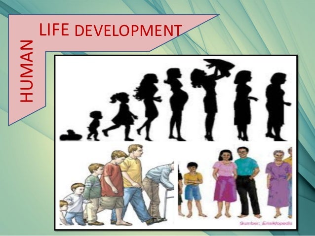 stages of human development