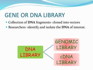 Nidhi sharma ppt gene library | PPTX