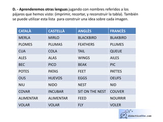 D. - Aprenderemos otras lenguas jugando con nombres referidos a los
pájaros que hemos visto: (imprimir, recortar, y reconstruir la tabla). También
se puede utilizar esta lista para construir una idea sobre cada imagen.
CATALÀ CASTELLÀ ANGLÈS FRANCÈS
MERLA MIRLO BLACKBIRD BLAKBIRD
PLOMES PLUMAS FEATHERS PLUMES
CUA COLA TAIL QUEUE
ALES ALAS WINGS AILES
BEC PICO BEAK PIC
POTES PATAS FEET PATTES
OUS HUEVOS EGGS OEUFS
NIU NIDO NEST NID
COVAR INCUBAR SIT ON THE NEST COUVER
ALIMENTAR ALIMENTAR FEED NOURRIR
VOLAR VOLAR FLY VOLER
 